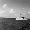 Bestandsnaam=Veerboot_onbekend.jpg
Bestandsgrootte=223KiB
Afmetingen = 1024x1022
Datum toegevoegd = 31 jan 2006 Veerboot_onbekend.jpg